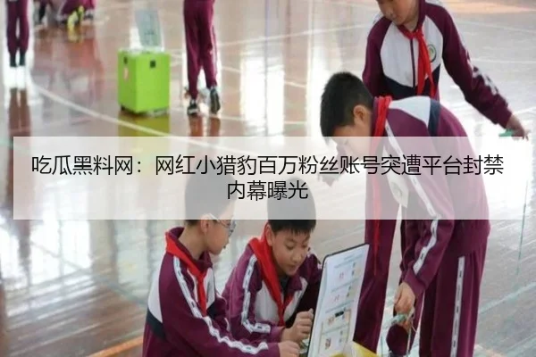 吃瓜黑料网：网红小猎豹百万粉丝账号突遭平台封禁内幕曝光